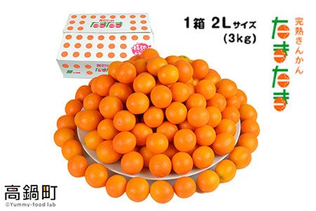 [“厳選"完熟きんかん「たまたま」2L×3kg 1箱]2025年1月下旬〜2月下旬迄に順次出荷[c274_mm_x6]