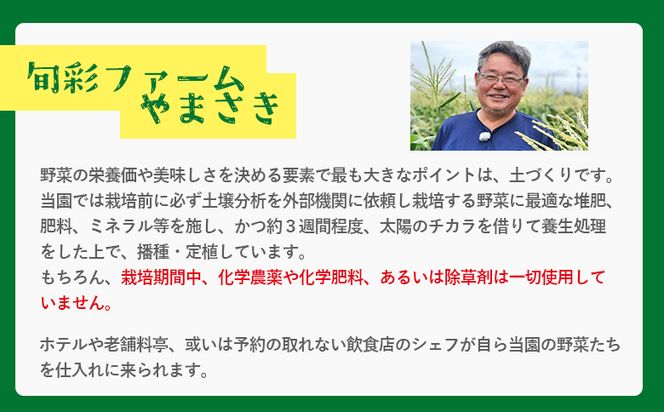 食べ比べセット ブロッコリー カリフラワー ロマネスコ 全3種 - やさい 詰め合わせ 詰合せ 簡単料理 朝採れ 新鮮 無農薬 産地直送 旬彩ファームやまさき 高知県 香南市 sy-0007