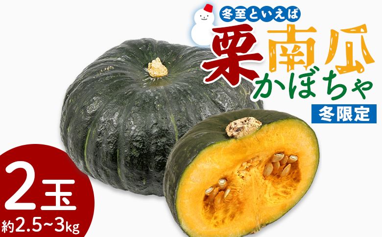 かぼちゃ 南瓜 2玉 約2.5〜3kg 冬至といえば栗かぼちゃ 冬限定 -冬至かぼちゃ 栗かぼちゃ カボチャ 甘い 簡単調理 栄養豊富 ポタージュ スープ プリン 煮物 新鮮 無農薬 産地直送 旬彩フ