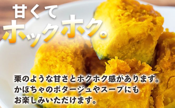 かぼちゃ 南瓜 2玉 約2.5～3kg 冬至といえば栗かぼちゃ 冬限定 -冬至かぼちゃ 栗かぼちゃ カボチャ 甘い 簡単調理 栄養豊富 ポタージュ スープ プリン 煮物 新鮮 無農薬 産地直送 旬彩フ