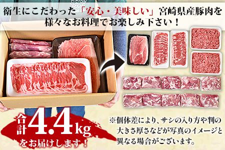 ＜宮崎県産豚肉 バラエティーセット4.4kg＞翌月末迄に順次出荷【a0629_ty】