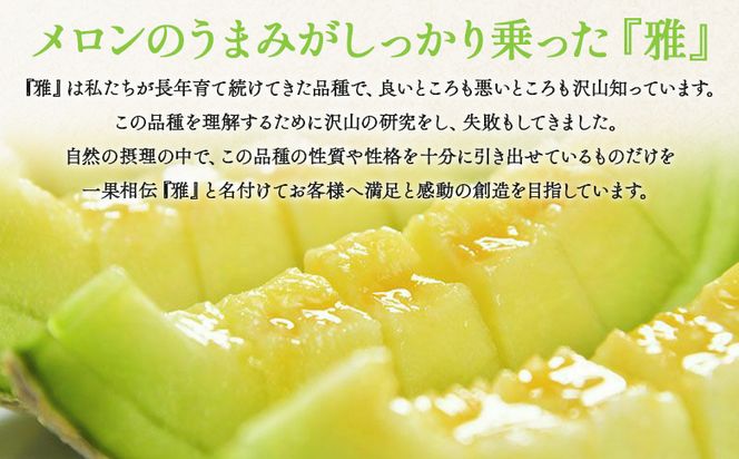 【先行受付】メロン 赤肉 青肉 家庭用 2玉 高級 雅&妃 マスクメロン 各１玉 - 青肉メロン 赤肉メロン セット めろん フルーツ くだもの 果物 完熟 おやつ ご褒美 果肉 tn-0026 