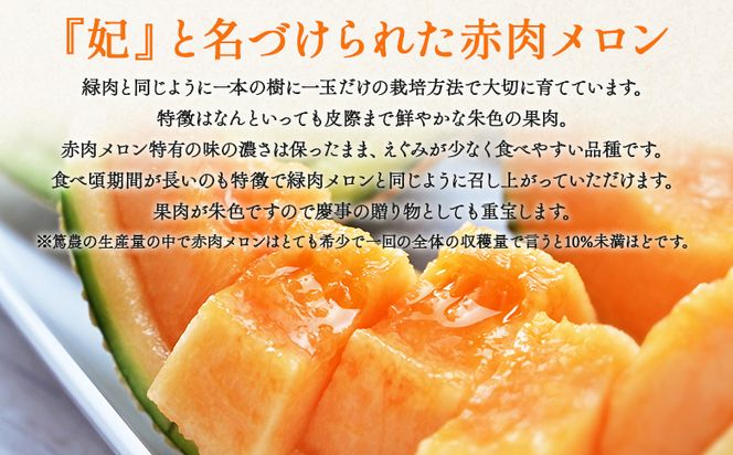 【先行受付】メロン 赤肉 青肉 家庭用 2玉 高級 雅&妃 マスクメロン 各１玉 - 青肉メロン 赤肉メロン セット めろん フルーツ くだもの 果物 完熟 おやつ ご褒美 果肉 tn-0026 