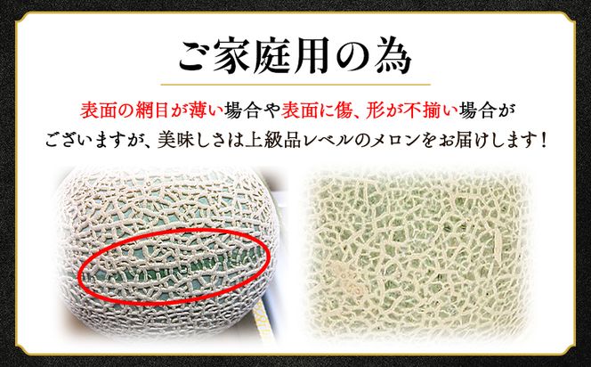 【先行受付】メロン 赤肉 青肉 家庭用 2玉 高級 雅&妃 マスクメロン 各１玉 - 青肉メロン 赤肉メロン セット めろん フルーツ くだもの 果物 完熟 おやつ ご褒美 果肉 tn-0026 