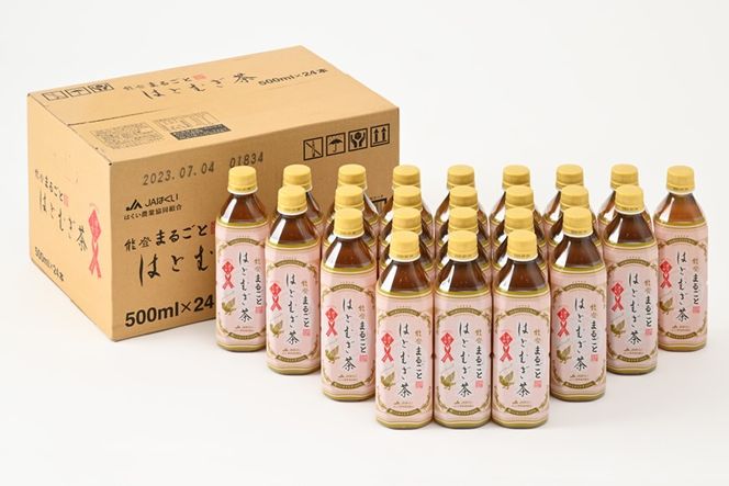 [J022]【定期便】能登のはとむぎ茶（500ml）24本セット×6回コース