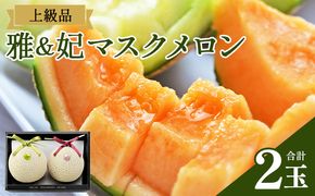 【先行受付】メロン 赤肉 青肉 ２玉 高級 上級品 雅&妃 マスクメロン 各１玉 tn-0027