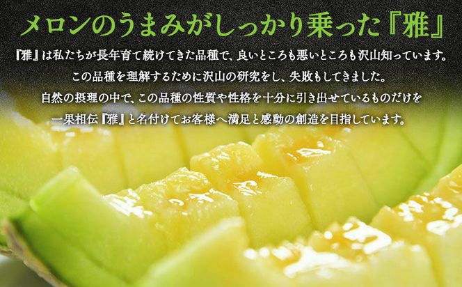 【先行受付】メロン 赤肉 青肉 ２玉 高級 上級品 雅&妃 マスクメロン 各１玉 tn-0027