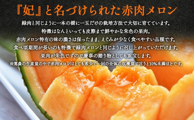 【先行受付】メロン 赤肉 青肉 ２玉 高級 上級品 雅&妃 マスクメロン 各１玉 tn-0027