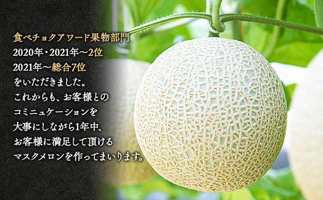 【先行受付】メロン 赤肉 青肉 ２玉 高級 上級品 雅&妃 マスクメロン 各１玉 tn-0027