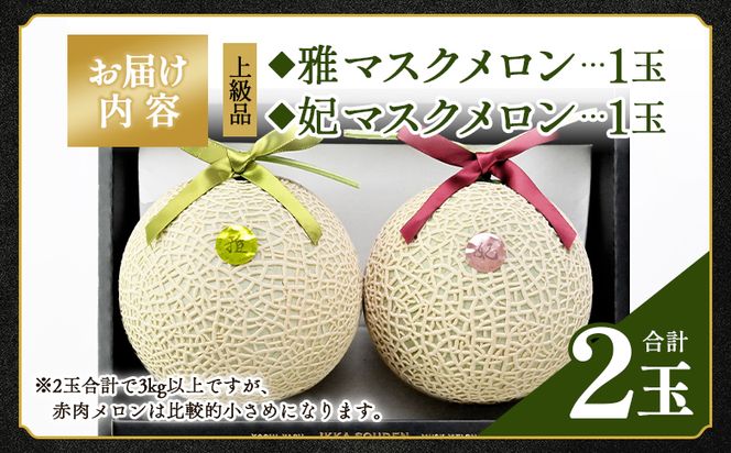 【先行受付】メロン 赤肉 青肉 ２玉 高級 上級品 雅&妃 マスクメロン 各１玉 tn-0027