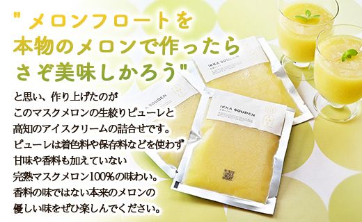 ピューレ メロンピューレ バニラアイスクリーム 3個セット 青肉 アイス 「めざましどようび キクエがキクヨ！」で特集 JALファーストクラス機内食に採用 マスクメロンピューレと高知のバニラアイス -