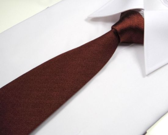 郡内織物「富士桜工房」シルクネクタイ『燻』梨地無地 柿渋色 FAA1044