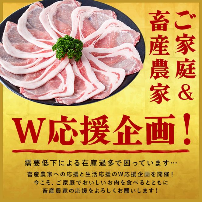 【数量限定】小分け・真空パック!九州産豚肉4種セット＜計4.5kg(計14P)＞ a6-050