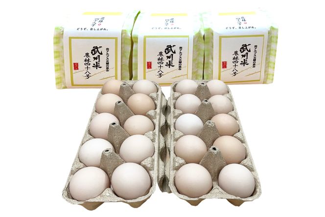 こだわりの 卵かけご飯 セット 穂坂のももたま 10個×2 & 武川米 450g×3 [ハイチック 山梨県 韮崎市 20743457] たまご 卵 ご飯 米 たまごかけご飯