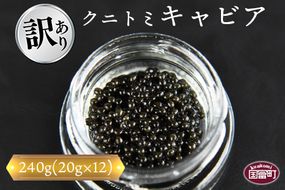 【訳あり】＜クニトミキャビア 240gセット(20g×12)＞翌月末迄に順次出荷【a0199_mc】