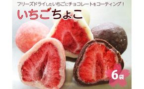 いちご ちょこ 6袋 ｜ 苺 イチゴ チョコ スイーツ ギフト 送料無料 ※着日指定不可◇