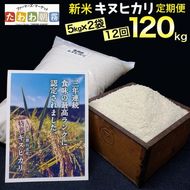 【定期便】令和5年産 米 10kg 12ヶ月 京都丹波産 キヌヒカリ 白米＜JA京都 たわわ朝霧＞ 12回定期便 10kg（5kg×2袋）×12回 計120kg 毎月発送に合わせて精米≪緊急支援品 ふるさと納税 訳あり≫