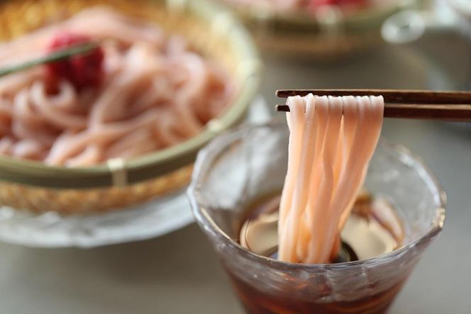 紀州南高梅肉使用　丸ざる梅うどん5食セット　T135