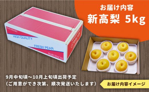 【2026年9月中旬～発送】【シャリッと食感がたまらない！】新高梨 5kg (玉数おまかせ) / 梨 南島原市 / ふるさと企画 [SBA012]