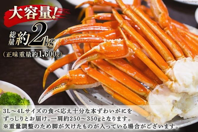 【年内配送 12/15まで受付】ボイル済み 本ずわいがに 脚 3L～4L 総重量 2kg [カネダイ 宮城県 気仙沼市 20564764] ズワイガニ ずわい蟹 ズワイ蟹 ずわい ズワイ 蟹 カニ 海鮮 魚介類 カニ脚 蟹脚 足 ボイル ご褒美