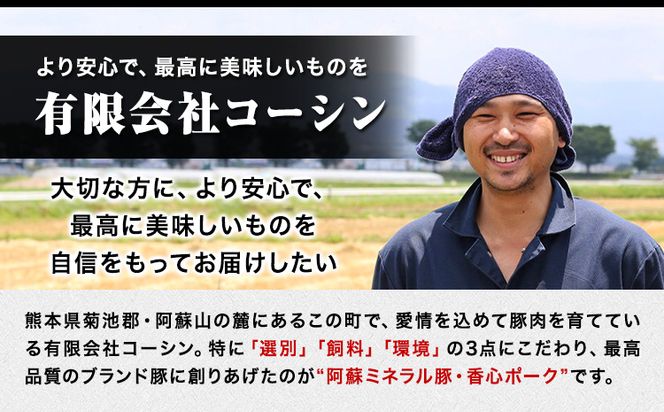 香心ポーク 香心ポーク切り落とし 約4kg 有限会社コーシン《30日以内に出荷予定(土日祝除く)》 熊本 大津町 切り落とし 豚肉 豚---so_fksnkirio_30d_23_45500_4kg---