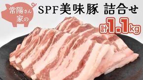 常陽さん家の SPF 美味豚 詰合せ 計 1.1kg 食べ比べ セット 豚肉 ロース しゃぶしゃぶ用 300g×2 バラ焼き肉用 500g 計 1.1kg 国産 ブランド豚 銘柄豚 茨城 SPF認定 農場 焼肉 焼き肉 豚ロース 豚バラ ロース バラ お肉 [BW001us]