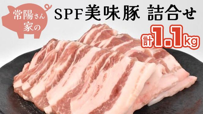 常陽さん家の SPF 美味豚 詰合せ 計 1.1kg 食べ比べ セット 国産 ブランド豚 銘柄豚 茨城 SPF認定 農場 焼肉 焼き肉 豚肉 豚ロース 豚バラ ロース バラ しゃぶしゃぶ お肉 [BW001us]