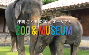 沖縄こどもの国ズージアム 年間パスポート（大人2人）