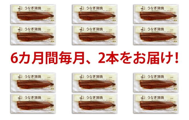 265.【定期便・うなぎ屋かわすい】国産うなぎ蒲焼大サイズ２本セット（６か月お届け）(A265-1)