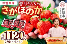 【令和7年1月より発送】香月さんちのいちご(さがほのか)280g×4パック 【いちご イチゴ 苺 さがほのか 大玉 大粒フルーツ 果物  数量限定 香月農園 佐賀県産】(H017109)