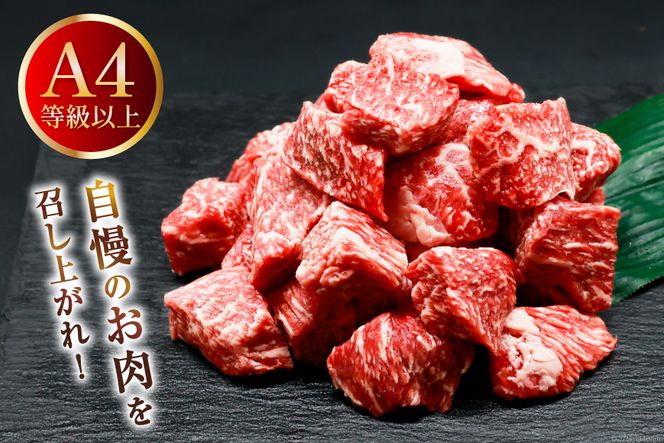 肉 牛肉 宮崎牛うで肉 サイコロカット 500g [牛心フードサービス 宮崎県 美郷町 31bm0025] 冷凍 ウデ ウデ肉 うで うで肉ブランド牛 宮崎牛 さいころ サイコロ