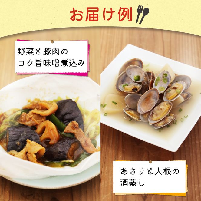 訳あり お惣菜 セット レンジで簡単 5種以上 10食セット  レトルト 詰合せ 簡単 カンタンおかず 料理 静岡 国産 冷凍 お弁当 おかず レンジ 調理 ハンバーグ 洋食 和食 洋風 和風  肉 魚 野菜 煮物 おつまみ [ PT0074-000005 ]