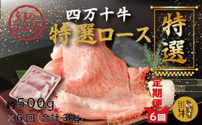 R6-729．【6回定期便】幻のメス牛 四万十牛特選ローススライス（すき焼き・しゃぶしゃぶ用）約500ｇ×6回（合計3kg）