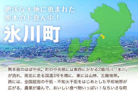 熊本県産 若鶏むね肉 約2kg/もも肉 約2kg 各1袋 たっぷり大満足！計4kg！《30日以内に出荷予定(土日祝除く)》---fn_ftrmix_r7_13000_4kg_30d---
