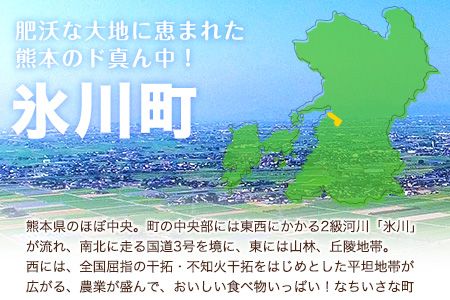 熊本県産 若鶏むね肉 約2kg/もも肉 約2kg 各1袋 たっぷり大満足！計4kg！《30日以内に出荷予定(土日祝除く)》---fn_ftorimix_24_13000_4kg_30d---