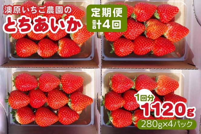 [先行予約・定期便／4ヶ月連続] とちあいか 合計4480g｜澳原いちご農園 イチゴ 苺 フルーツ 果物 果実 産地直送 栃木県産 [0542]