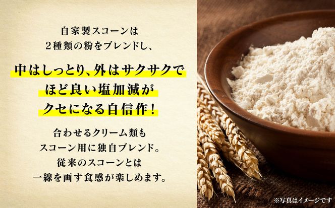  スコーンサンドセット(8個入り) 014026