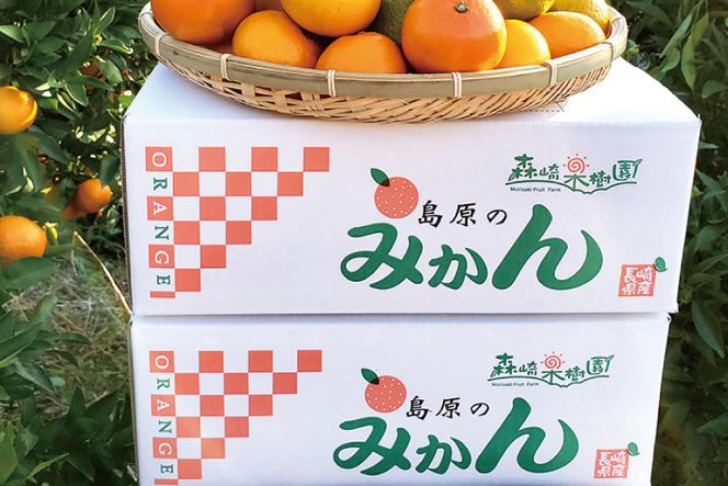 CC003 森崎果樹園のこだわり旬のみかんセット 10kg [みかん ミカン 旬 10キロ 長崎県 島原市]