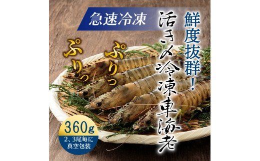 鮮度抜群！活き〆冷凍車海老（360g）_29100A