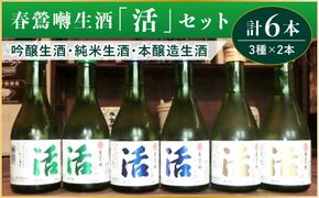 春鶯囀生酒蔵元直送「活」セット　300ml×6本セット （吟醸生酒2本/純米生酒2本/本醸造生酒2本） ギフト 贈答 日本酒 地酒 清酒 