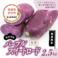 【先行予約】【数量限定】パープルスイートロード 生芋（2.5kg）| さつまいも サツマイモ 紫 産地直送　※2024年12月上旬～2025年4月下旬頃に順次発送予定