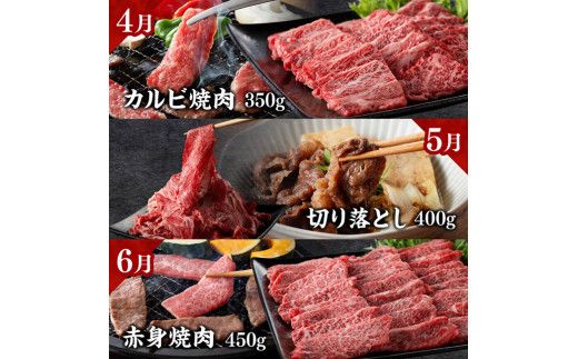 【定期便】宮崎牛　匠の堪能セット 12か月定期便 【 肉 牛肉 国産 黒毛和牛 宮崎牛 全12回 焼肉 しゃぶしゃぶ 焼きしゃぶ BBQ 宮崎県 川南町 】[D11401t12]