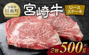 宮崎牛 ロース ステーキ 2枚 500g【肉 牛肉 国産 宮崎県産 宮崎牛 黒毛和牛 和牛 ステーキ BBQ 4等級  A4ランク ロース  E11106】