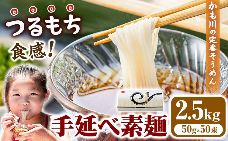 素麺 ソーメン お徳用手延べ素麺 50g × 50束 2.5kg かも川手延素麺株式会社[30日以内に発送予定(土日祝除く)]岡山県 浅口市 紙箱入 お土産 ご家庭用 送料無料---124_14_30d_23_20000_50---