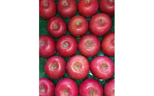 A027 ご褒美＊フルーツ定期便（12回）