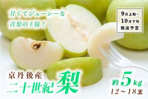 【先行予約】甘～ぃ！ジューシー！！青梨の王様 京丹後産 二十世紀梨5kg（12～18玉）（2025年9月上旬～発送）　YK00292