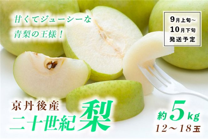 【先行予約】甘～ぃ！ジューシー！！青梨の王様 京丹後産 二十世紀梨5kg（12～18玉）（2025年9月上旬～発送）　YK00292