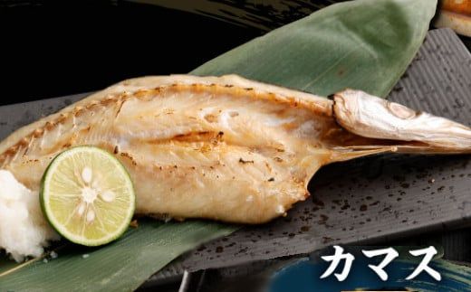 【定期便_奇数月お届け６回】訳あり！地魚干物セット約１．５ｋｇ　nk034