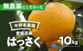 【栽培期間中農薬不使用】【先行受付】【数量限定】農園直送！愛媛県産 はっさく 10kg ｜ 柑橘 みかん ミカン 蜜柑 フルーツ 果物 ギフト 贈り物 栽培期間 無農薬 愛媛県産　※2025年3月上旬～4月下旬頃に順次発送予定