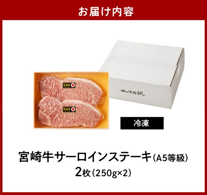 宮崎牛サーロインステーキ2枚（A5等級）　N061-ZC401